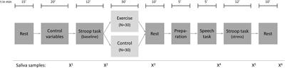 The Influence of an Acute Exercise Bout on Adolescents’ Stress Reactivity, Interference Control, and Brain Oxygenation Under Stress